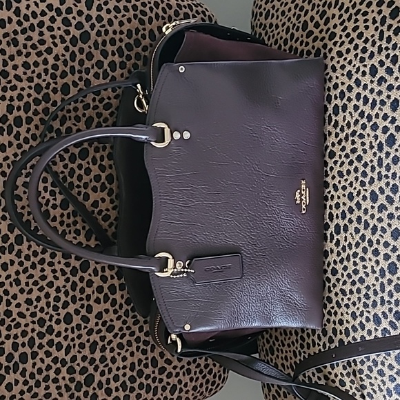 Hotel Kalinga Coach Lavender Purse Kalinga Ashok Adapter Joolz